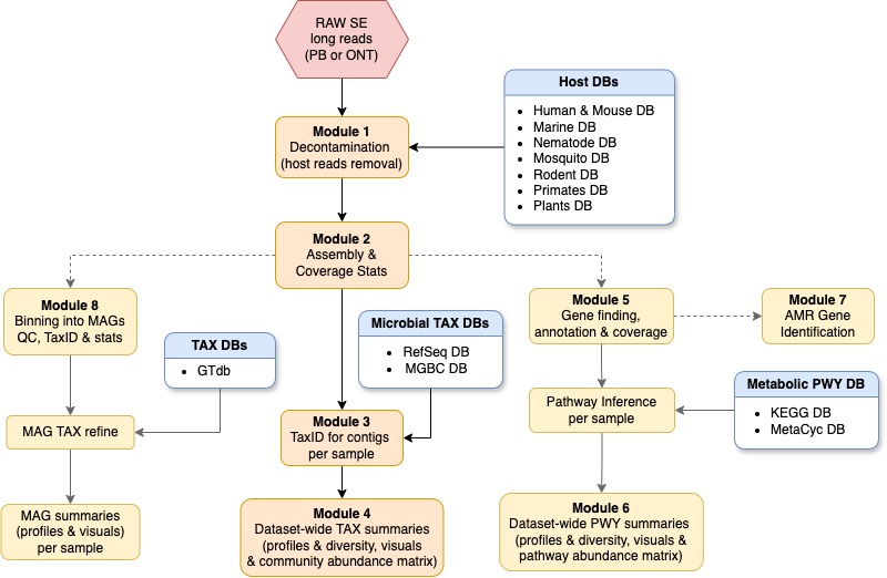 Nephele LoRA workflow