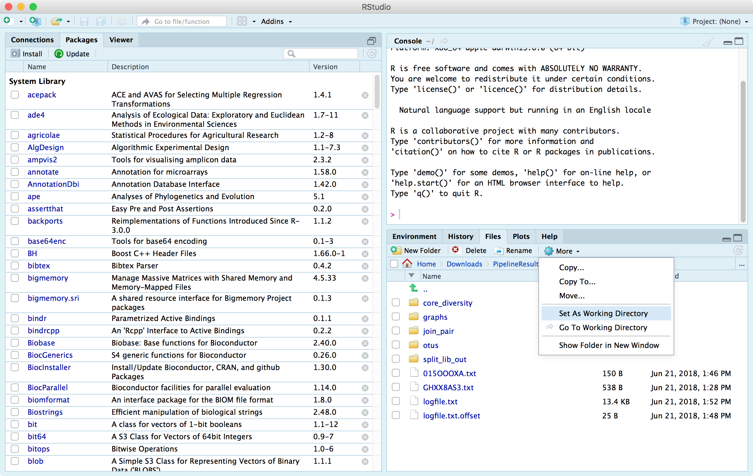 RStudio Set As Working Directory